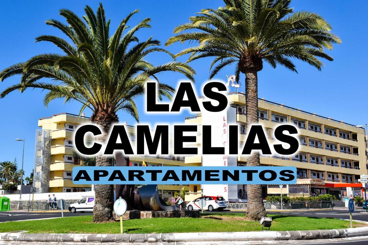 Las Camelias Apartments プラヤ・デル・イングレス エクステリア 写真