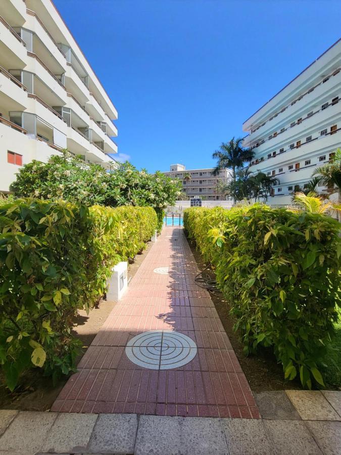 Las Camelias Apartments プラヤ・デル・イングレス エクステリア 写真