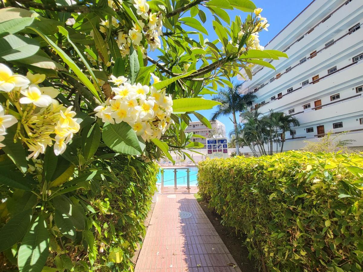 Las Camelias Apartments プラヤ・デル・イングレス エクステリア 写真