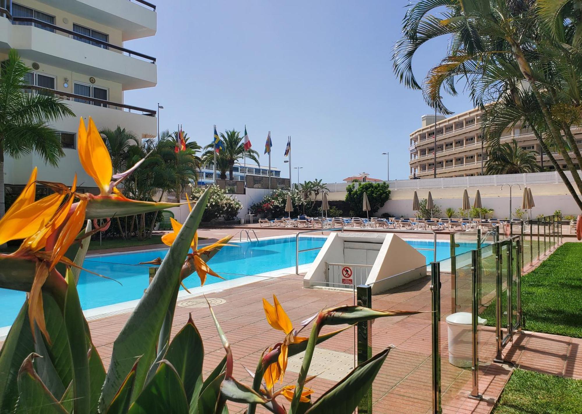 Las Camelias Apartments プラヤ・デル・イングレス エクステリア 写真